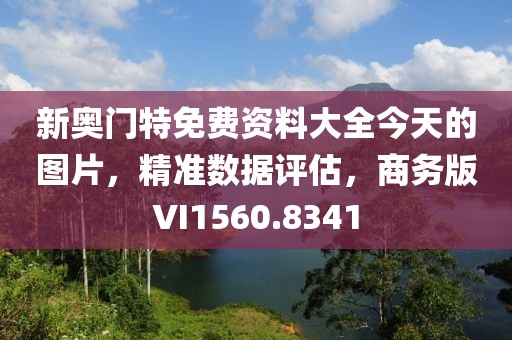 新奥门特免费资料大全今天的图片，精准数据评估，商务版VI1560.8341