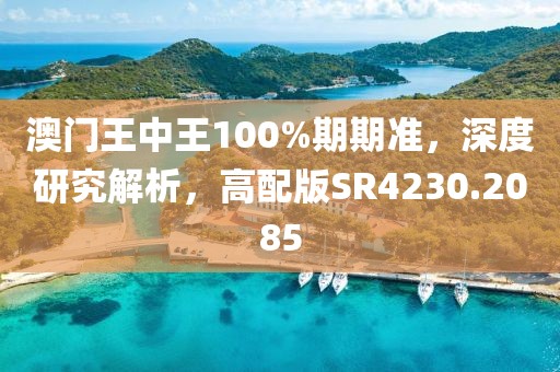 澳门王中王100%期期准，深度研究解析，高配版SR4230.2085