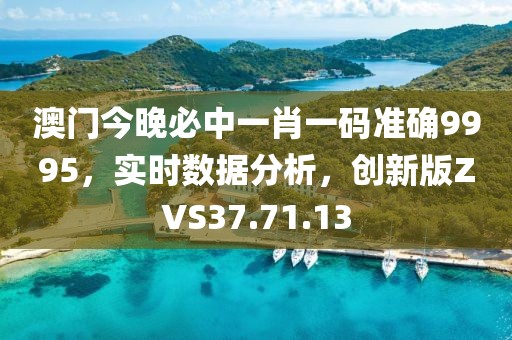 澳门今晚必中一肖一码准确9995，实时数据分析，创新版ZVS37.71.13