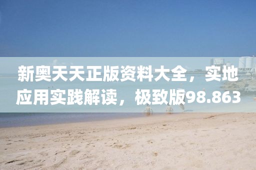 新奥天天正版资料大全，实地应用实践解读，极致版98.863
