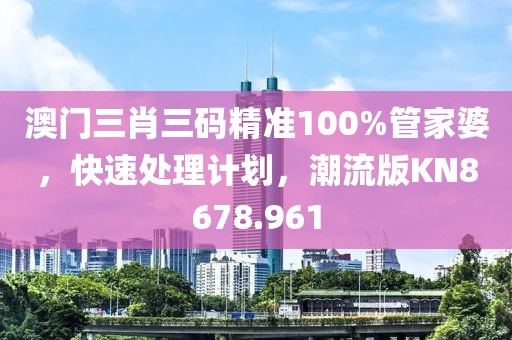 澳门三肖三码精准100%管家婆，快速处理计划，潮流版KN8678.961