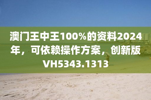澳门王中王100%的资料2024年，可依赖操作方案，创新版VH5343.1313