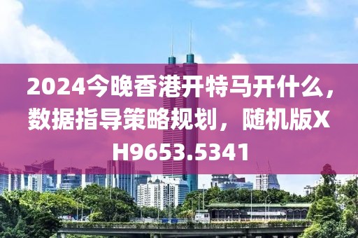 2024今晚香港开特马开什么，数据指导策略规划，随机版XH9653.5341