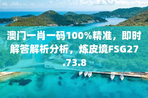 澳门一肖一码100%精准，即时解答解析分析，炼皮境FSG27.73.8