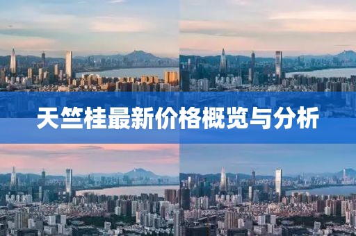 天竺桂最新价格概览与分析