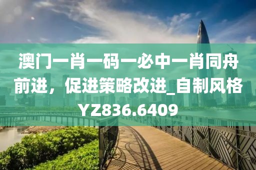 澳门一肖一码一必中一肖同舟前进，促进策略改进_自制风格YZ836.6409