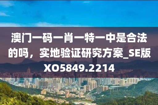 澳门一码一肖一特一中是合法的吗，实地验证研究方案_SE版XO5849.2214