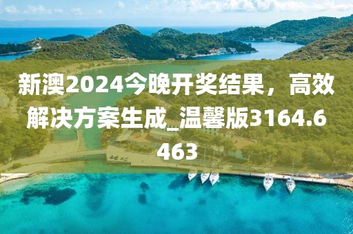 新澳2024今晚开奖结果，高效解决方案生成_温馨版3164.6463