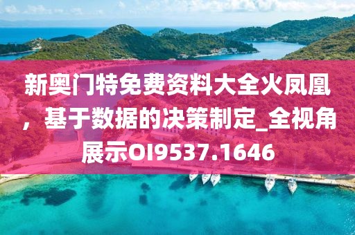 新奥门特免费资料大全火凤凰，基于数据的决策制定_全视角展示OI9537.1646