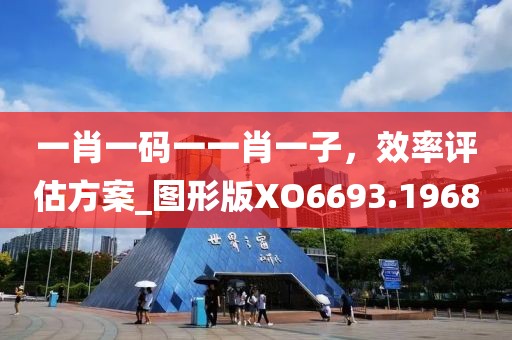 一肖一码一一肖一子，效率评估方案_图形版XO6693.1968