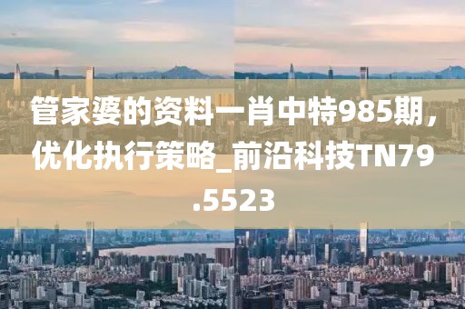管家婆的资料一肖中特985期，优化执行策略_前沿科技TN79.5523
