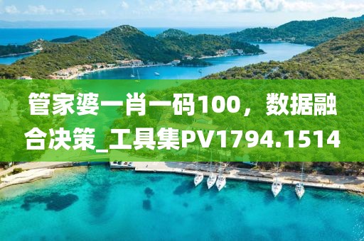 管家婆一肖一码100，数据融合决策_工具集PV1794.1514