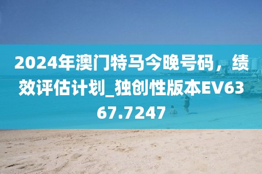 2024年澳门特马今晚号码，绩效评估计划_独创性版本EV6367.7247