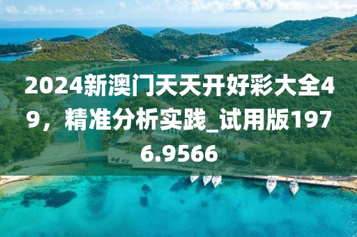 2024新澳门天天开好彩大全49，精准分析实践_试用版1976.9566