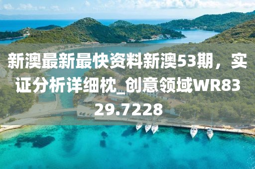 新澳最新最快资料新澳53期，实证分析详细枕_创意领域WR8329.7228