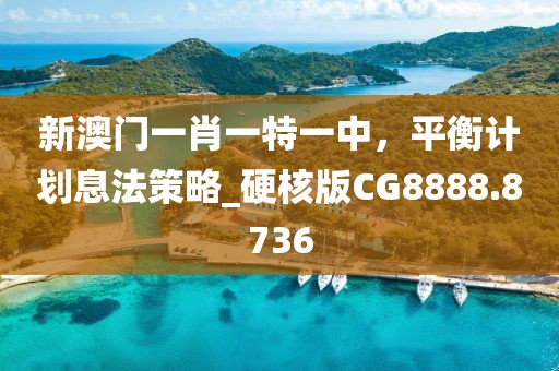 新澳门一肖一特一中，平衡计划息法策略_硬核版CG8888.8736