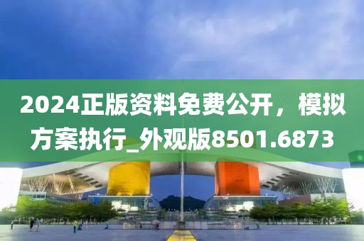 2024正版资料免费公开，模拟方案执行_外观版8501.6873