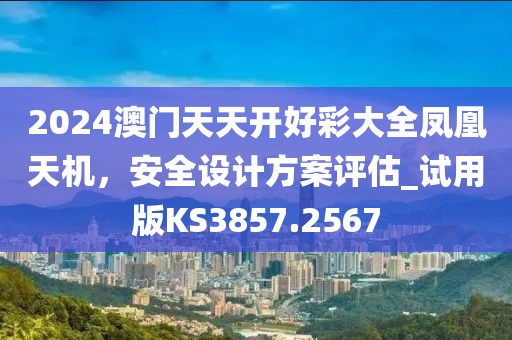 2024澳门天天开好彩大全凤凰天机，安全设计方案评估_试用版KS3857.2567