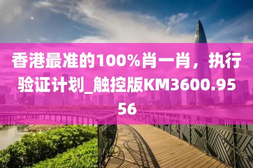 香港最准的100%肖一肖，执行验证计划_触控版KM3600.9556
