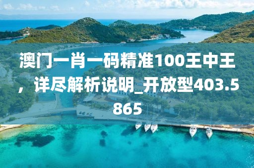 澳门一肖一码精准100王中王，详尽解析说明_开放型403.5865