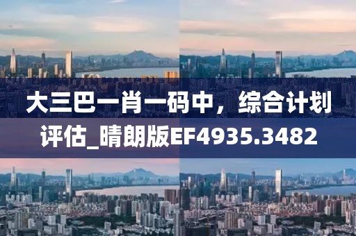 大三巴一肖一码中，综合计划评估_晴朗版EF4935.3482