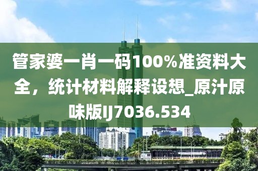 管家婆一肖一码100%准资料大全，统计材料解释设想_原汁原味版IJ7036.534