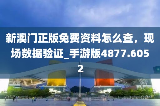 澳门一码一肖 第60页
