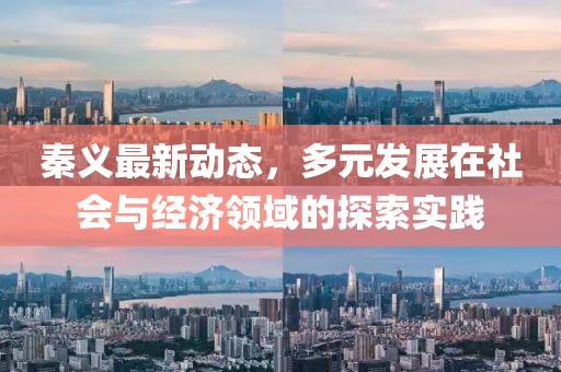 秦义最新动态，多元发展在社会与经济领域的探索实践