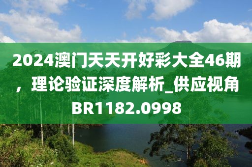2024澳门天天开好彩大全46期，理论验证深度解析_供应视角BR1182.0998