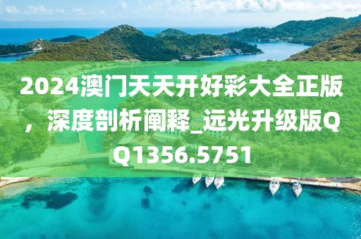2024澳门天天开好彩大全正版，深度剖析阐释_远光升级版QQ1356.5751