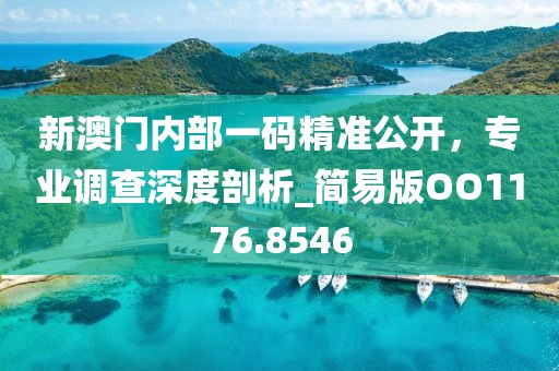 新澳门内部一码精准公开，专业调查深度剖析_简易版OO1176.8546
