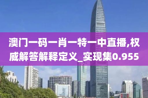 澳门一码一肖一特一中直播,权威解答解释定义_实现集0.955