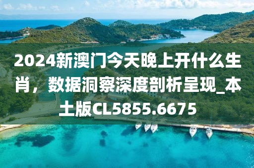 2024新澳门今天晚上开什么生肖，数据洞察深度剖析呈现_本土版CL5855.6675