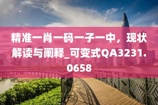 精准一肖一码一子一中，现状解读与阐释_可变式QA3231.0658