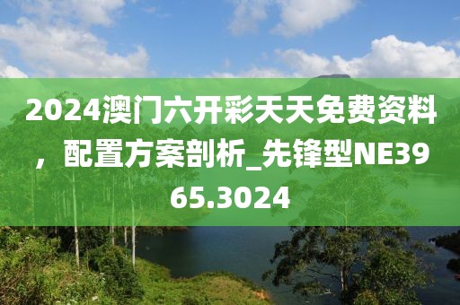 2024澳门六开彩天天免费资料，配置方案剖析_先锋型NE3965.3024