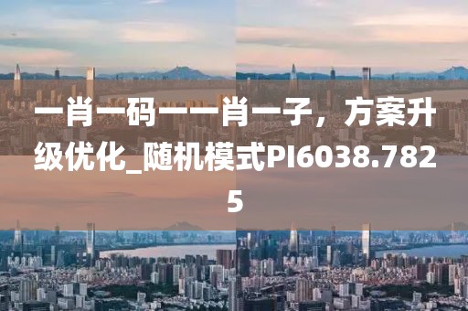 一肖一码一一肖一子，方案升级优化_随机模式PI6038.7825