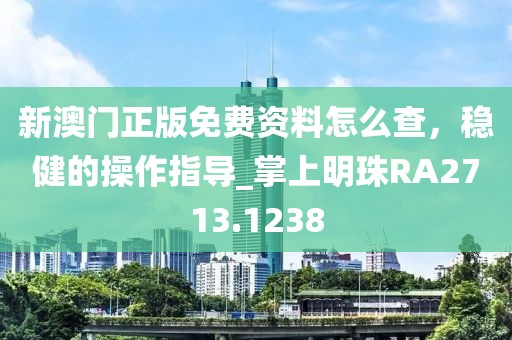 新澳门正版免费资料怎么查，稳健的操作指导_掌上明珠RA2713.1238