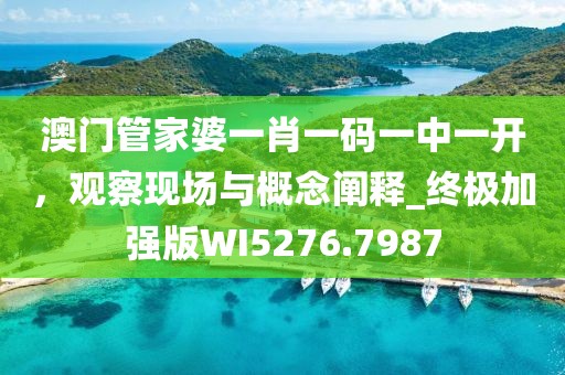澳门管家婆一肖一码一中一开，观察现场与概念阐释_终极加强版WI5276.7987