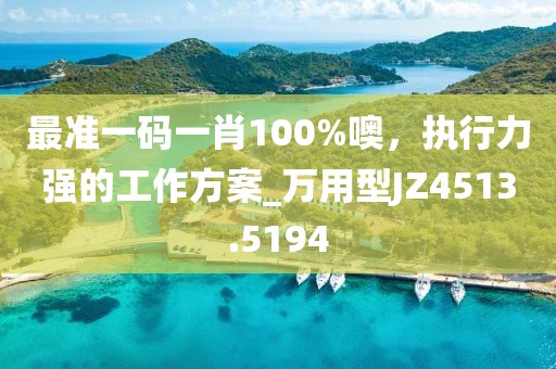 最准一码一肖100%噢，执行力强的工作方案_万用型JZ4513.5194