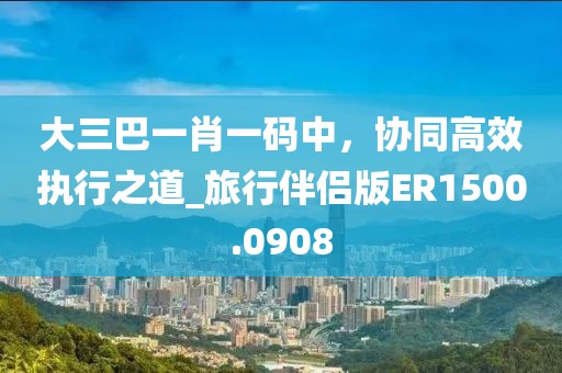 大三巴一肖一码中，协同高效执行之道_旅行伴侣版ER1500.0908