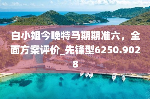 白小姐今晚特马期期准六，全面方案评价_先锋型6250.9028