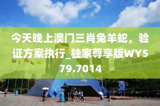 今天晚上澳门三肖兔羊蛇，验证方案执行_独家尊享版WY579.7014