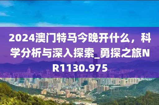 心澳门正版资料 第55页