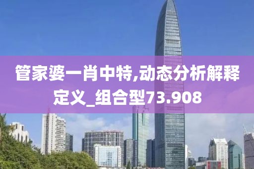 管家婆一肖中特,动态分析解释定义_组合型73.908