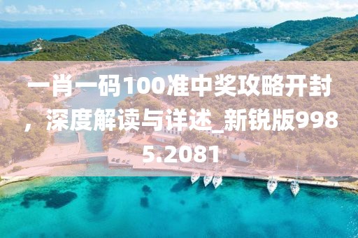 一肖一码100准中奖攻略开封，深度解读与详述_新锐版9985.2081