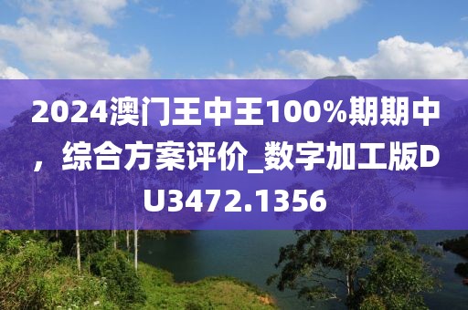 2024澳门王中王100%期期中，综合方案评价_数字加工版DU3472.1356