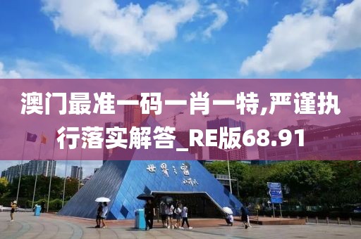 澳门最准一码一肖一特,严谨执行落实解答_RE版68.91