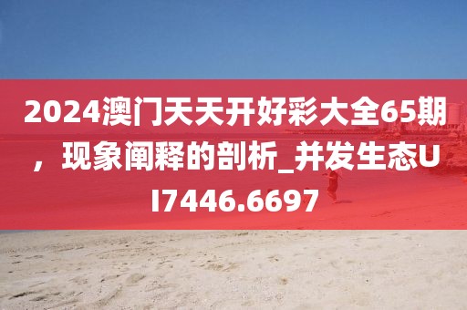 2024澳门天天开好彩大全65期，现象阐释的剖析_并发生态UI7446.6697