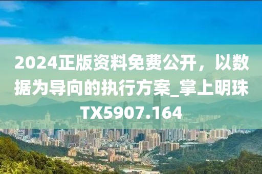 2024正版资料免费公开，以数据为导向的执行方案_掌上明珠TX5907.164