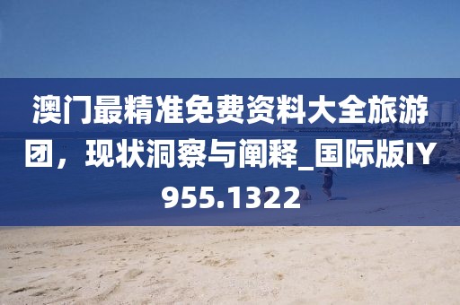 澳门最精准免费资料大全旅游团，现状洞察与阐释_国际版IY955.1322